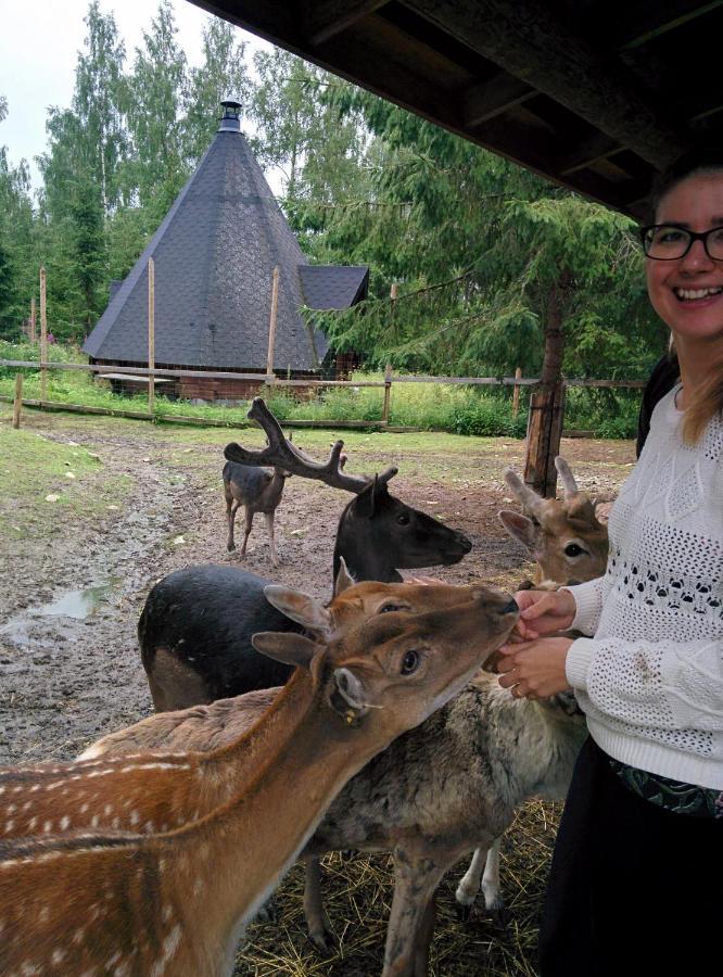 Вилла Suvituuli | Paajoen Vuokramoekit Himos Экстерьер фото